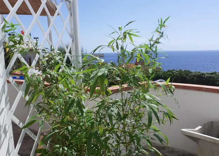 公寓 Casa Costa E Manfredi *